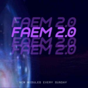 Chase Chappell - Facebook Ads Expert Mastery 2