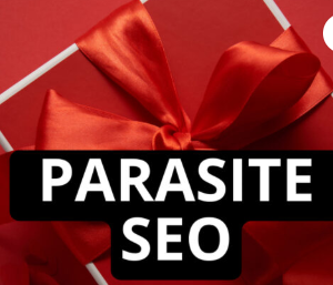 Jesper Nissen – Parasite Seo Course 2025