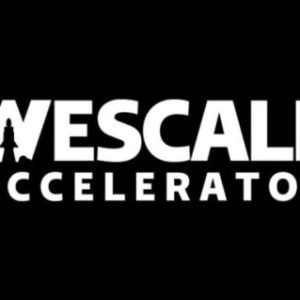 Chris Heckman – WeScale Accelerator Course 2.0
