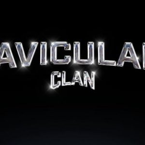 https://allcoursesavailable.com/product/skool-backup-claviculars-clan/